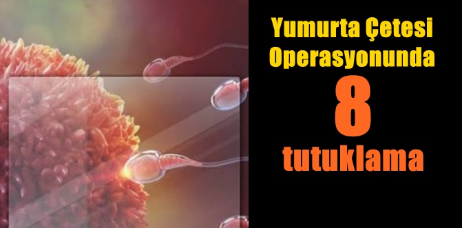 Operasyon yapılan iller arasında Sakarya da var